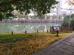 -成都市活水公园