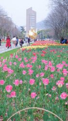 -玄武湖景区-情侣园游乐场