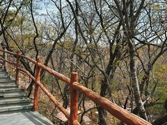 -大青沟风景区