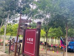 -西青郊野公园