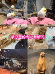 -Zoolung Zoolung动物主题公园(海信广场店)