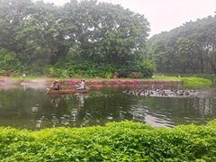 -广州长隆飞鸟乐园