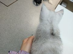 -爱诺耐芙动物医院(万博店)