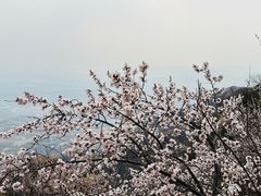 -北京凤凰岭