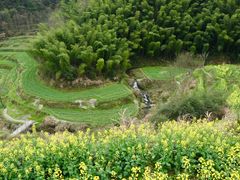 -灵山景区梯田