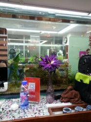 android_upload_pic-小左美发