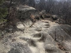 -白水寺森林公园