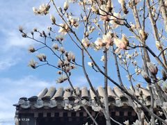 -三里河公园