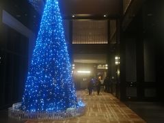 -三迪希尔顿酒店·星空酒廊