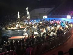 -灵玲国际马戏城