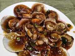 蚝油扇贝-华春餐馆(鱼山路店)
