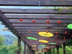 -白马涧龙池景区