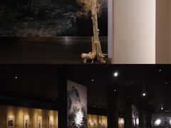 -南京书画院金陵美术馆
