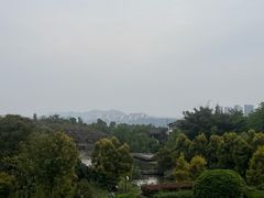 -张坝桂圆林公园