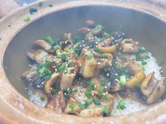 -红星光发煲仔饭(文海店)