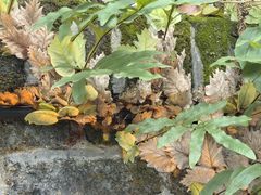 -九龙湾·御膳坊(九龙窠路店)