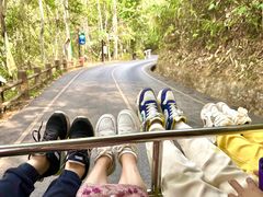 -西双版纳原始森林公园