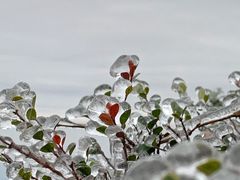 -广东罗浮山风景名胜区
