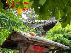 -龙华寺