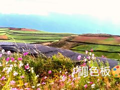 -红土地风景区