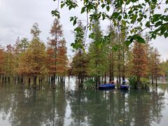 -白鹭湾湿地公园