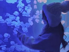 -福州罗源湾海洋世界旅游区