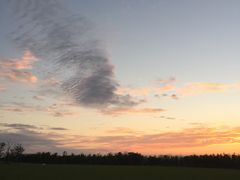 -春花秋色城市公园