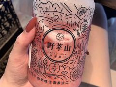 -野萃山·潮汕厚果汁(十亩地店)