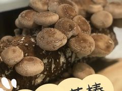 -椰子营·椰子鸡火锅(万象里店)