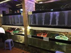 -越海渔村