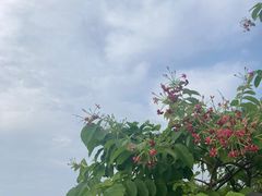 -皇马海口湾海景酒店(万绿园秀英港店)