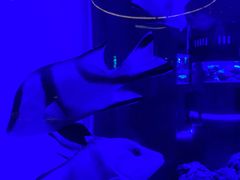 -上和臻品中国菜(花园街店)