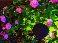 -重庆十八梯传统风貌区