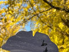 -辽宁大学(崇山校区)