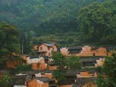 -杨家堂村