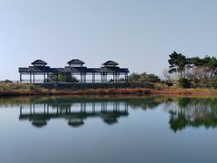 -四明山国家森林公园