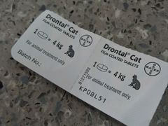 -爱侣宠医·鹦鹉专科·小型哺乳类·异宠专科(灵石路店)