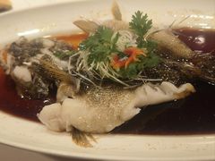青麻椒蒸白水鱼-申粤轩酒楼·三十年粤菜经典(丁香花园店)