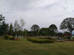 -铁山坪森林公园