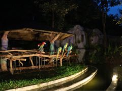 -清迈夜间动物园