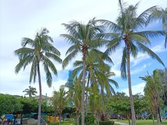 -三亚亚龙湾天域度假酒店