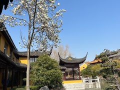 -圆通寺