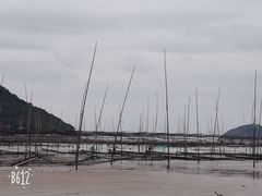-小皓村