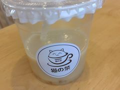 芒果优格-猫的茶·猫咖