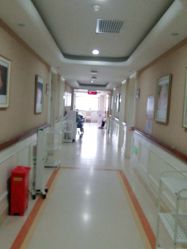 -玛丽亚妇产医院
