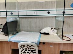 -爱派特动物医院·全科诊疗中心