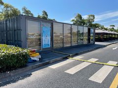 -春花秋色城市公园