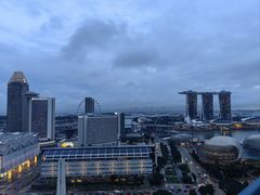 -新加坡瑞士史丹福酒店