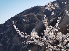 -北京凤凰岭