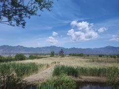 -野鸭湖国家湿地公园